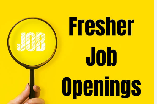 Job Search screenshot 2026 02 14 164805